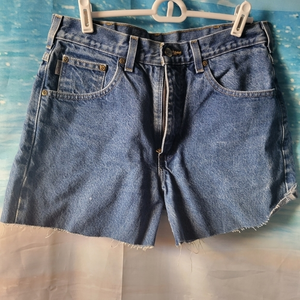 Carhartt‎ Cutoff Jean Shorts Size 32